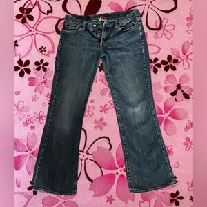 Lucky Brand Iconic Y2K Midrise Bootcut jeans